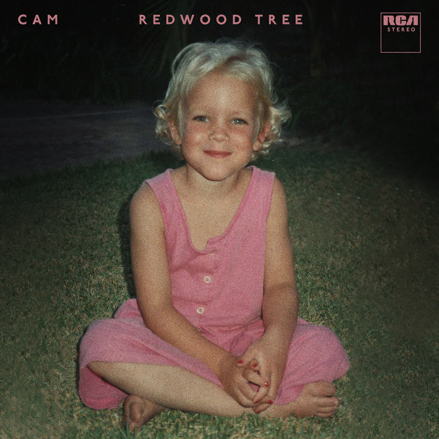 Redwood Tree Cam