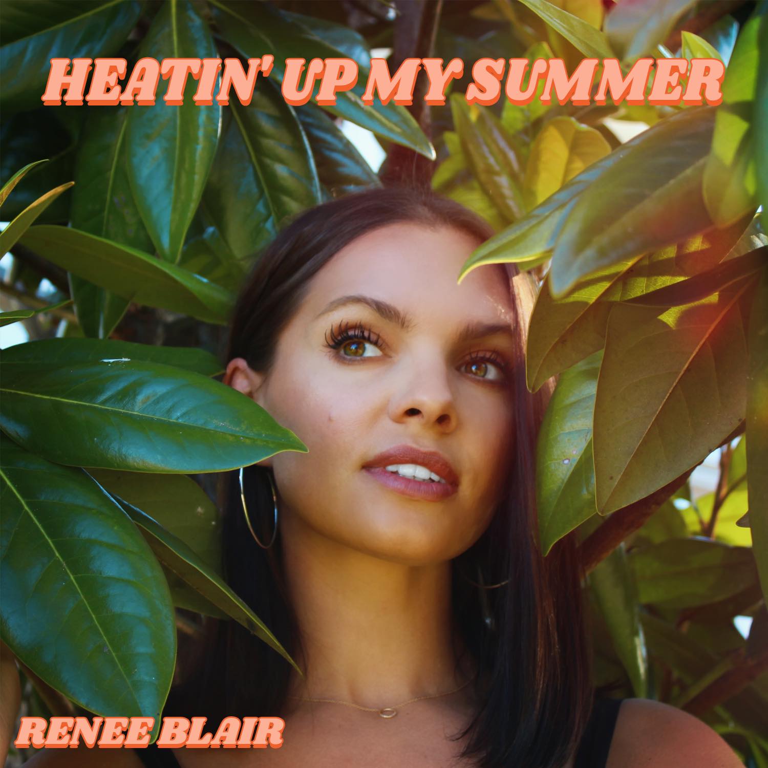 Heatin' Up my Summer Renee Blair