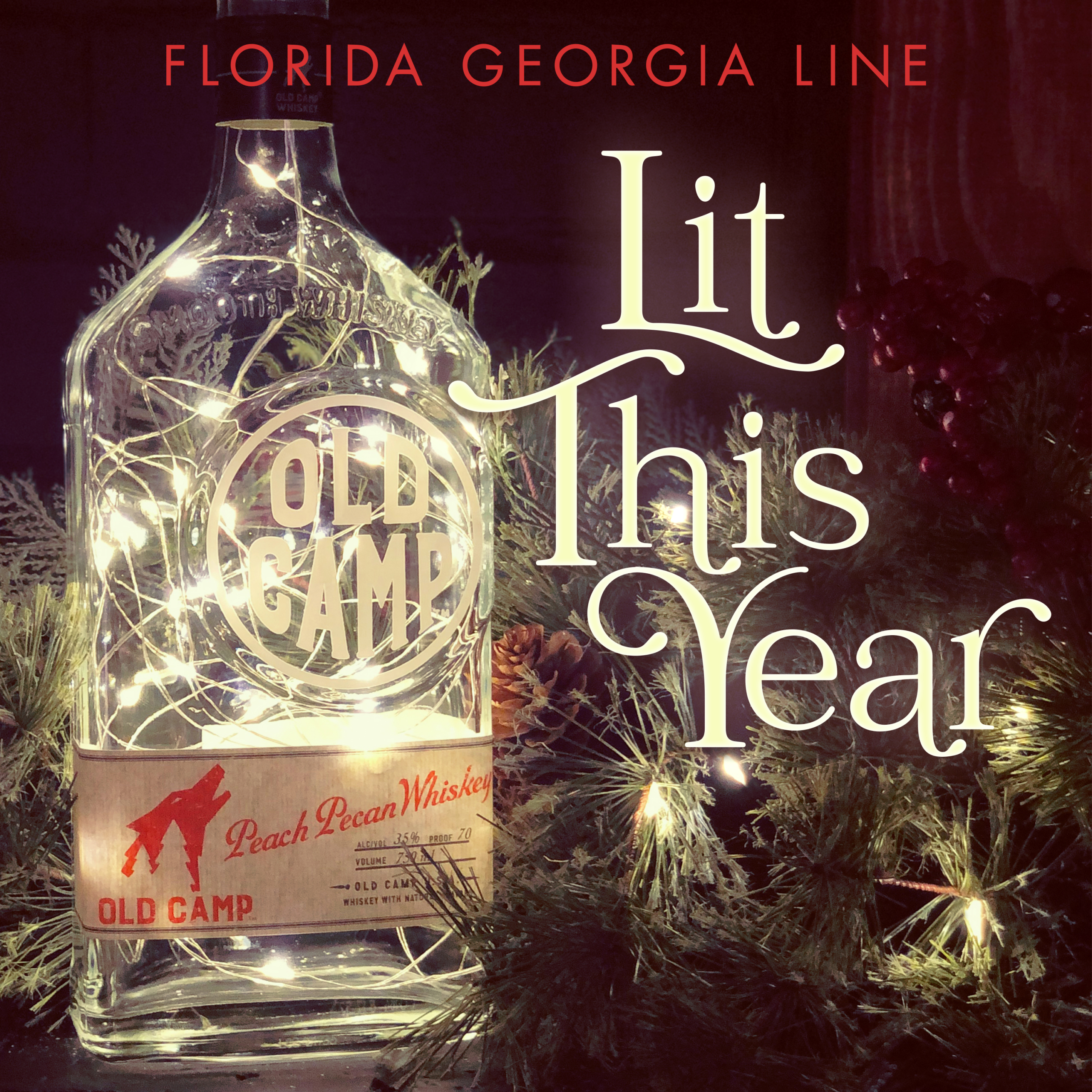 Florida Georgia Line Lit This Year