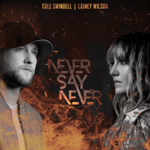 never-say-never-new-song