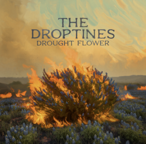 the-droptines-drought-flower